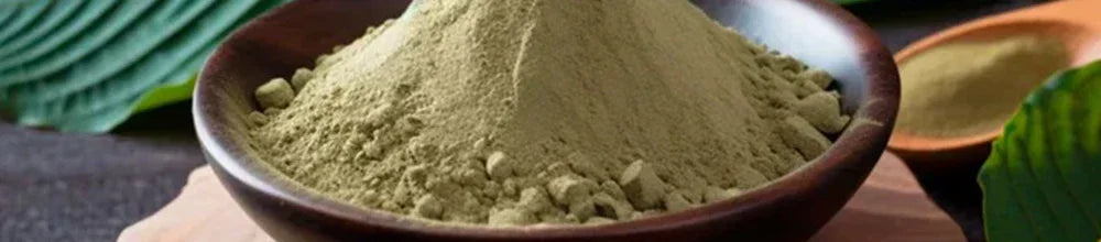 Understanding 7OH Absorption in Simple Terms - Seven Tech