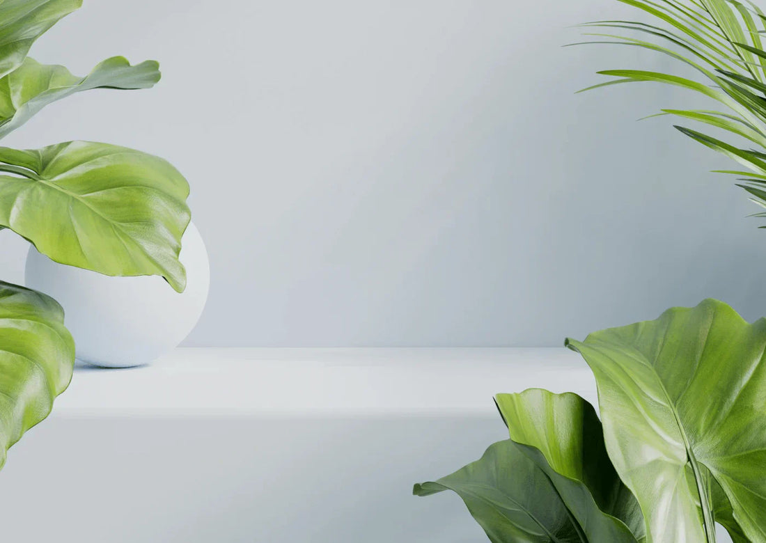 Community Posts - Seven Tech