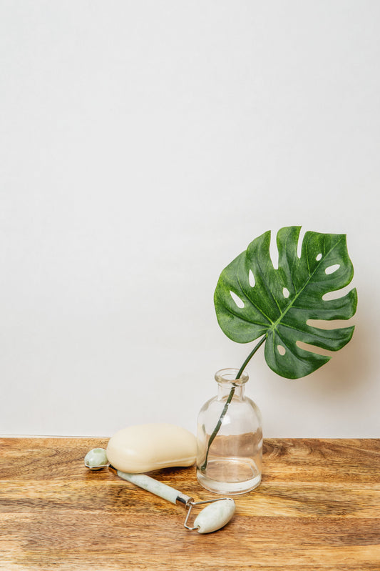 Blog Posts