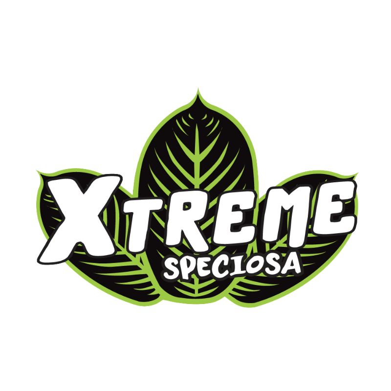 Xtreme Speciosa - xtreme speciosa shot​ - kratom kava shot