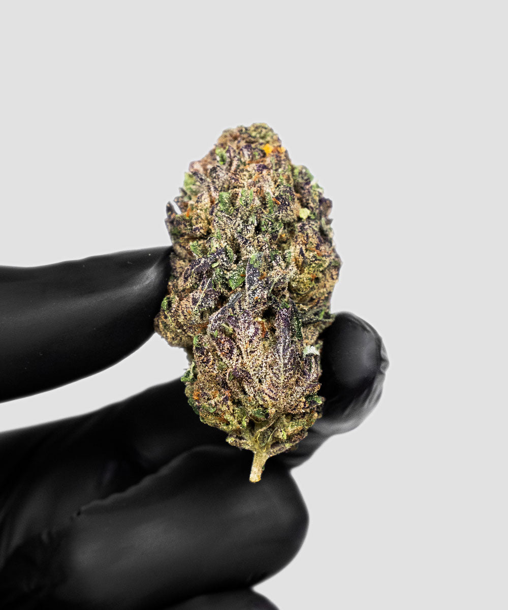 IMPERIAL THC-A EXOTIC FLOWER FAKIES 3.5G – ICY POP SATIVA