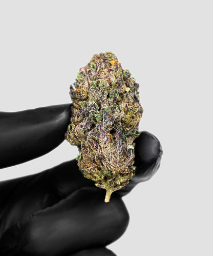 IMPERIAL THC-A EXOTIC FLOWER FAKIES 3.5G – ICY POP SATIVA
