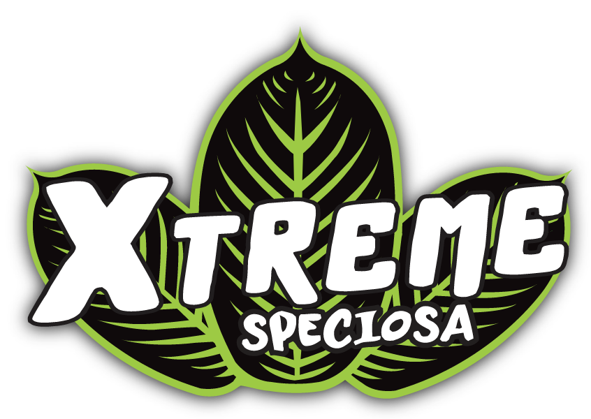 Xtreme Speciosa