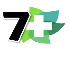 7OHEAVEN